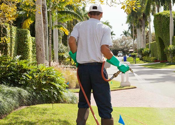 About Franconia PA Pest Control Pros